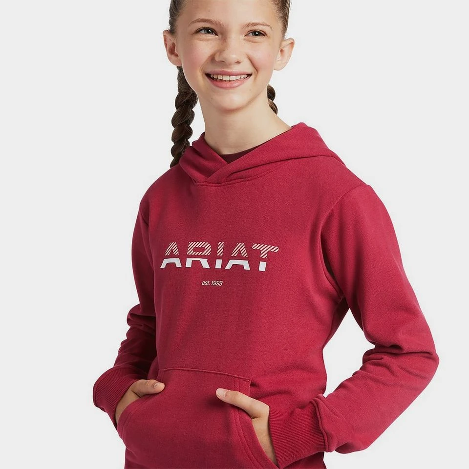 Ariat Kids’ 3D Logo Hoodie 3 Ariat Kids’ 3D Logo Hoodie - Image 3