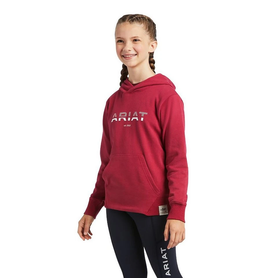 Ariat Kids’ 3D Logo Hoodie 5 Ariat Kids’ 3D Logo Hoodie - Image 5